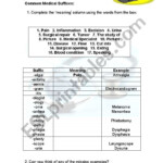 34 Medical Terminology Suffixes Worksheet Worksheet Resource Plans - Chapter 2 Suffixes And Combining Forms Made Easy Crossword Puzzle