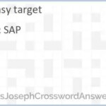 Easy Target Crossword Clue ThomasJosephCrosswordAnswers - Crossword Clue Easy Targets