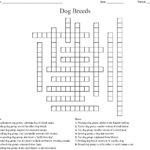 21 Small Pet Dog Crossword Clue Wayang Pets - Crossword Easy To Manage As A Pet