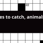 Devices To Catch Animals Say Crossword Clue - Easy Catch Crossword Clue