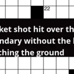 Cricket Shot Hit Over The Boundary Without The Ball Touching The Ground  - Easy Catch In Cricket Crossword Clue