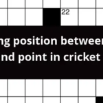 Fielding Position Between The Slips And Point In Cricket Crossword Clue - Easy Catch In Cricket Crossword Clue