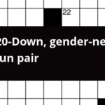 With 20 Down Gender neutral Pronoun Pair Crossword Clue - Easy Chair For A Pair Crossword Clue