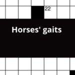 Horses Gaits Crossword Clue - Easy Gaited Horse Crossword