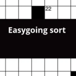 Easygoing Sort Crossword Clue - Easy Going Permissive Crossword Clue