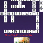 Houseplants Get Answers For One Clue Crossword Now - Easy House Plants Crossword Clue