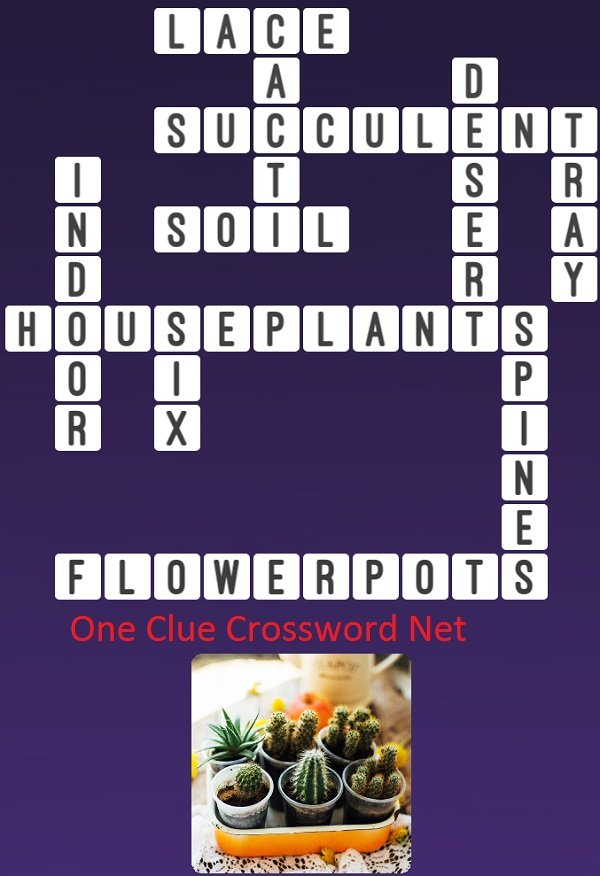 Houseplants Get Answers For One Clue Crossword Now - Easy House Plants Crossword Clue