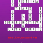 The Eye Bonus Puzzle Get Answers For One Clue Crossword Now - Easy On The Eye Crossword