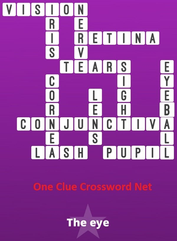 The Eye Bonus Puzzle Get Answers For One Clue Crossword Now - Easy On The Eye Crossword