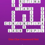 The Eye Bonus Puzzle Get Answers For One Clue Crossword Now - Easy On The Eye Crossword Clue