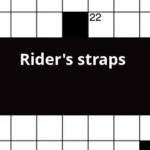 Rider s Straps Crossword Clue - Easy Rider Star Crossword Puzzle Clue