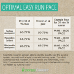 Applying The 80 20 Rule To Running By Thomas Lane Runner s Life  - Easy Running Pace Crossword