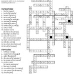 Easy Spanish Crossword Puzzles Printable Freeprintablecrossword - Easy Spanish Crossword Puzzles1993