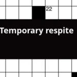 Temporary Respite Crossword Clue - Easy Temporary Solution Crossword Clue