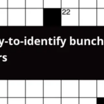 Easy to identify Bunch Of Stars Crossword Clue - Easy To Identify With Crossword Clue