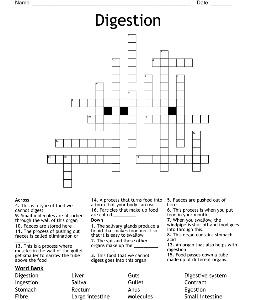 Digestion Crossword WordMint - Easy To Swallow Meds Crossword