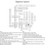 The Digestive System Crossword WordMint - Easy To Swallow Tube Of Medicine Crossword Clue