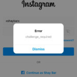 13 Ways To Fix Instagram Challenge required Error - Easy Way That Might Lead To Error Crossword