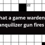 What A Game Warden s Tranquilizer Gun Fires Crossword Clue - Guns That Are Easy To Carry Crossword Clue