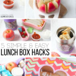 5 Simple Lunch Box Hacks That Make Life Easier Easy Lunches Easy  - Make Easier To Eat As An Infant's Food Crossword